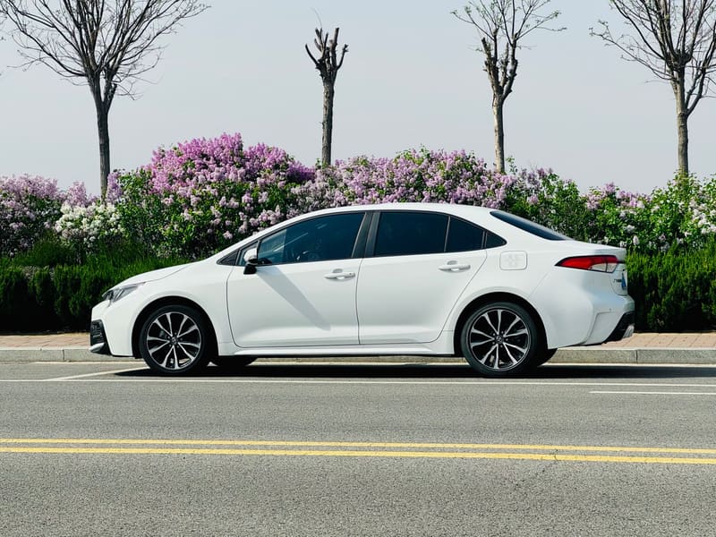 Representative photo of a Toyota Corolla or similar hire car
